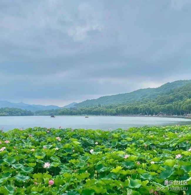 【鵬城暑色】初秋