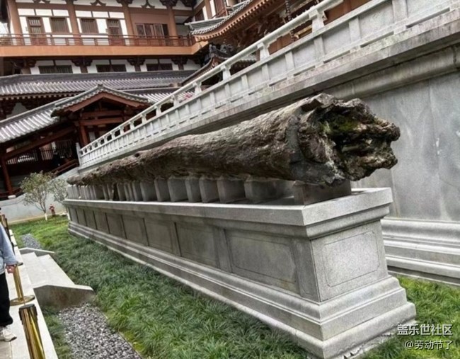 【鵬城暑色】寶藏