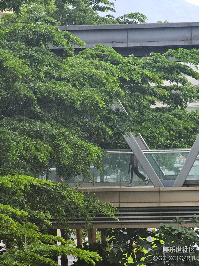 【漫步雨中】清新小雨