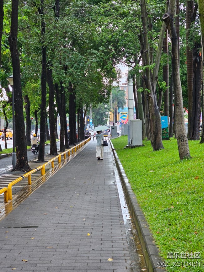 【漫步雨中】清新小雨