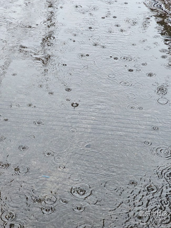 【漫步雨中】下雨了