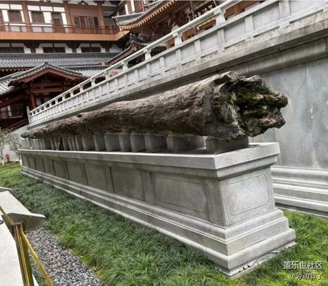 【鵬城暑色】寶藏