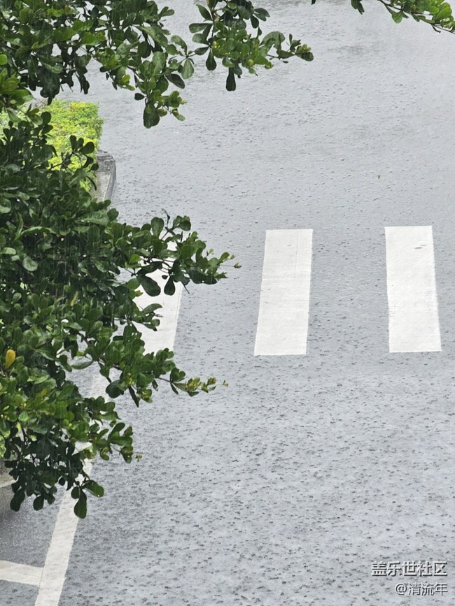 【漫步雨中】下雨了