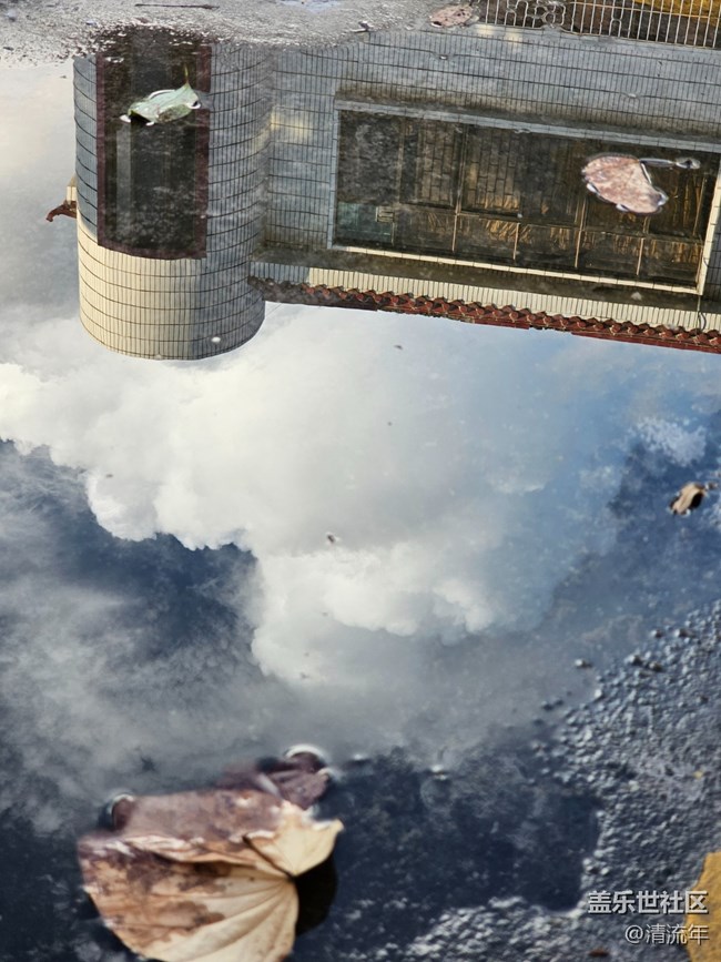 【漫步雨中】下雨了