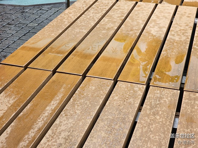 【漫步雨中】下雨了