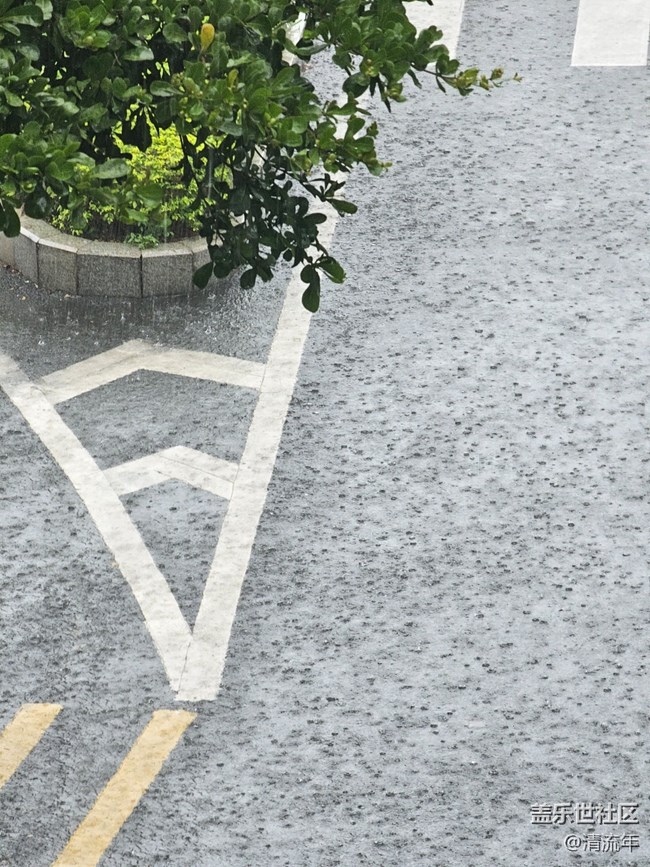 【漫步雨中】下雨了