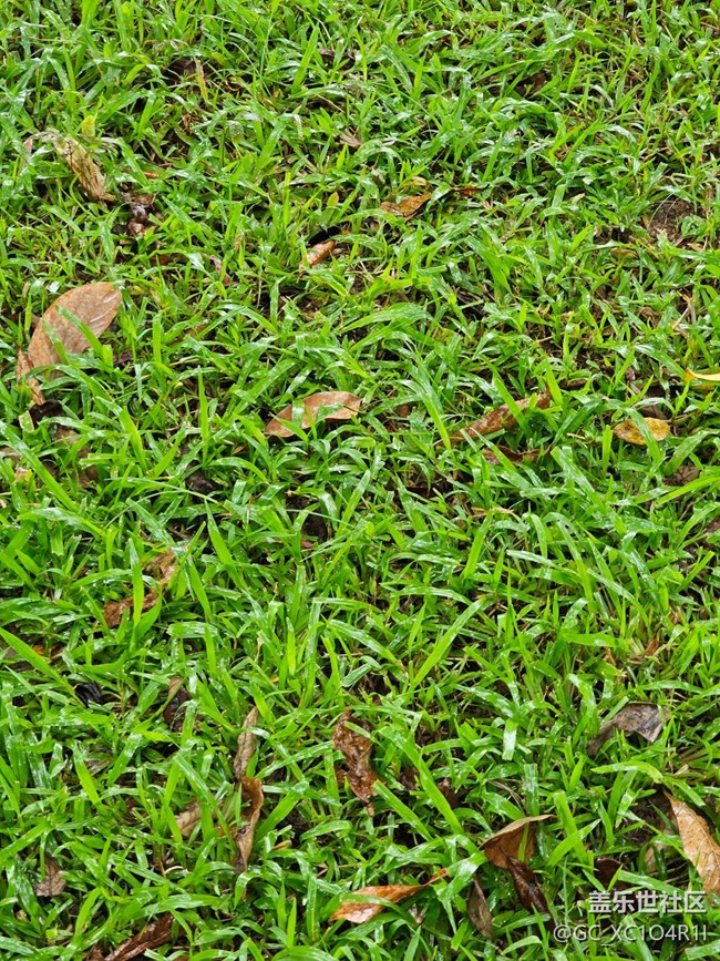 【漫步雨中】清新小雨