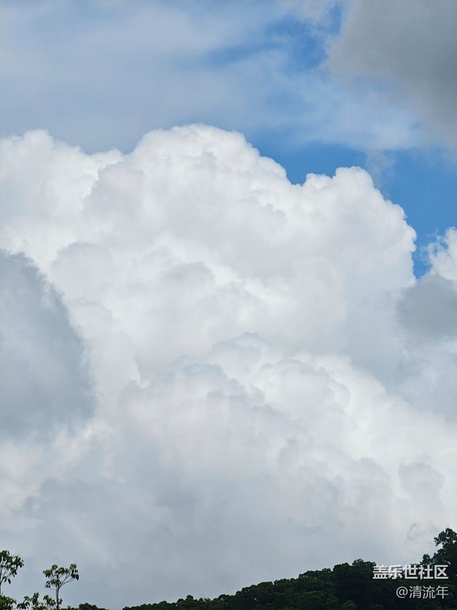 【自然物語】夏日水邊