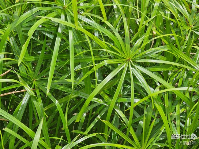 【自然物語】假日里