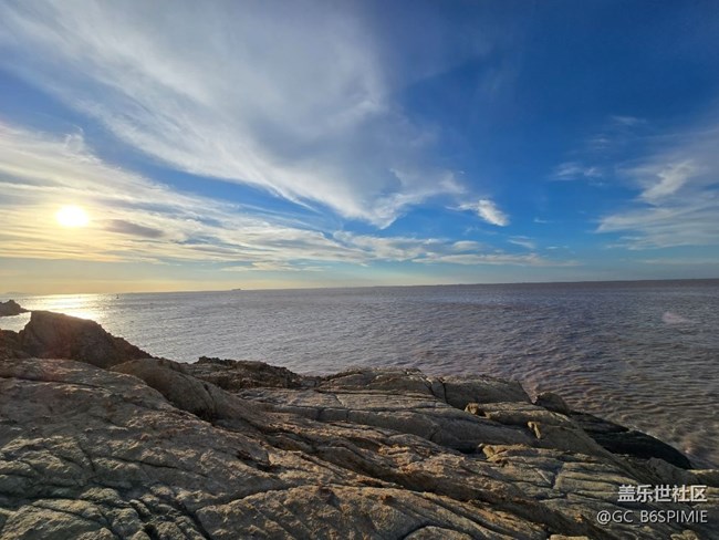 野生海岸一枚。