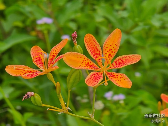 【自然物語】自然美麗