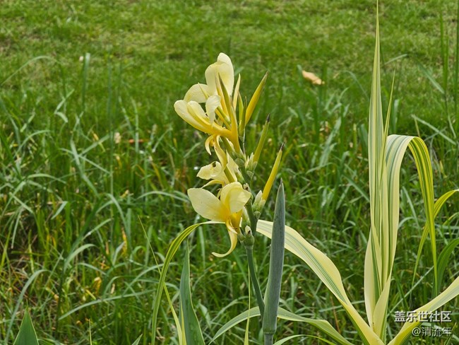 【自然物語】假日里