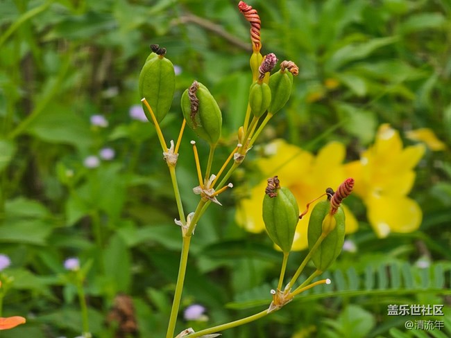 【自然物語】自然美麗