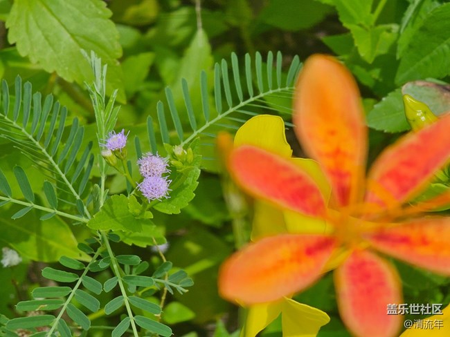 【自然物語】自然美麗