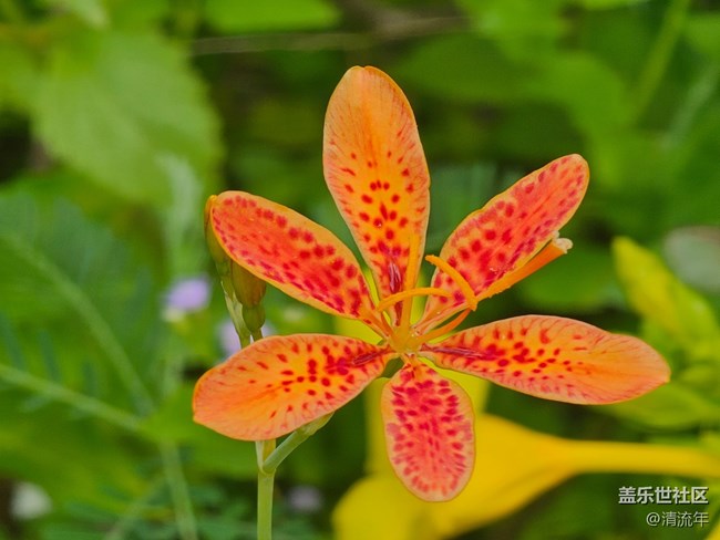 【自然物語】自然美麗