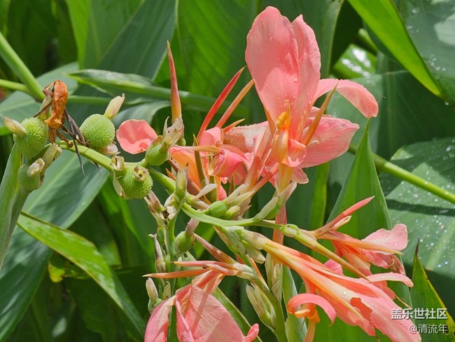 【自然物語】假日里