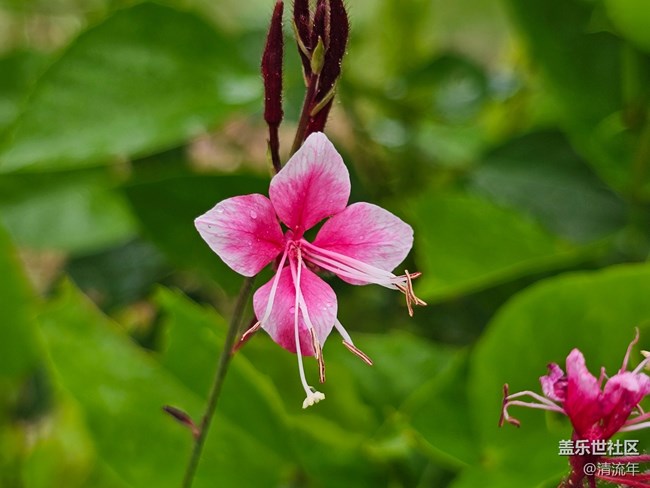 【自然物語】假日里