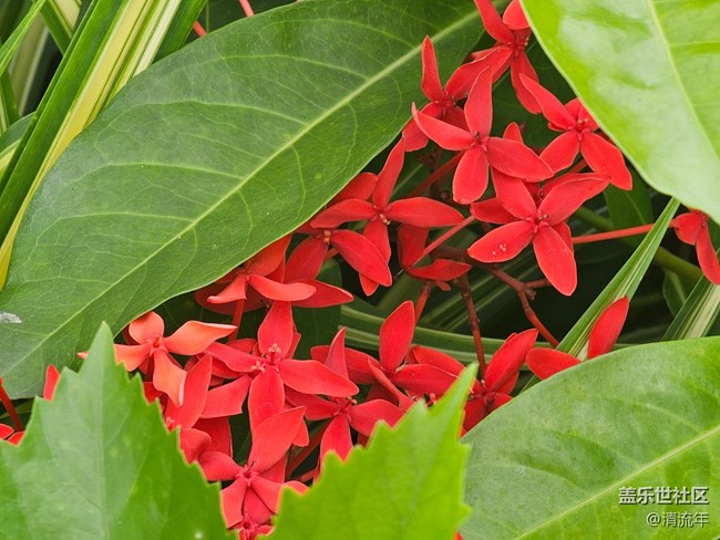 【自然物語】夏日水邊