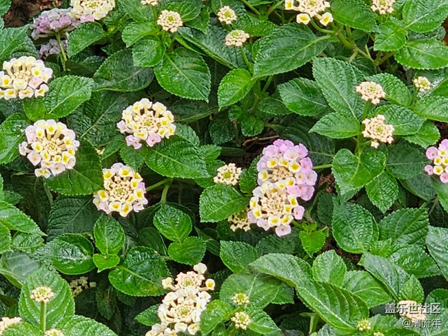 【自然物語】假日里