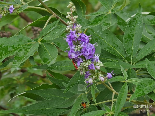 【自然物語】假日里