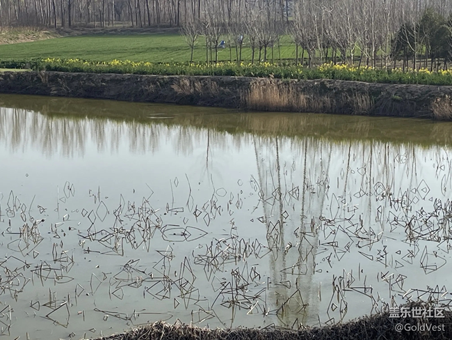 【自然物語(yǔ)】黃河文化公園游玩 【自然物語(yǔ)】黃河文化公園游玩