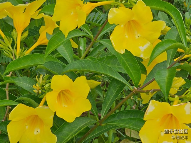 【自然物語】自然美麗