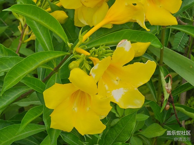 【自然物語】自然美麗