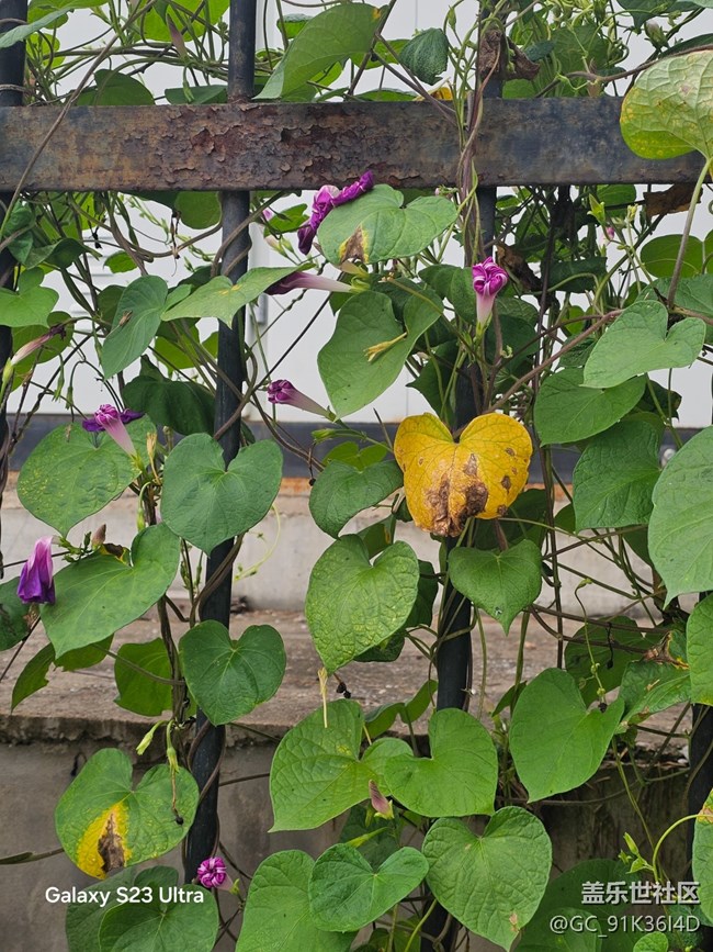 【立秋相簿】秋日風景