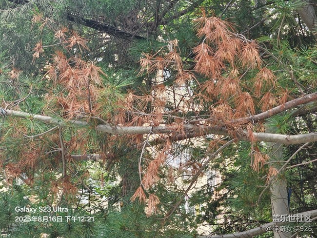 【立秋相簿】秋意到