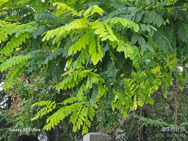 【立秋相簿】秋日風景