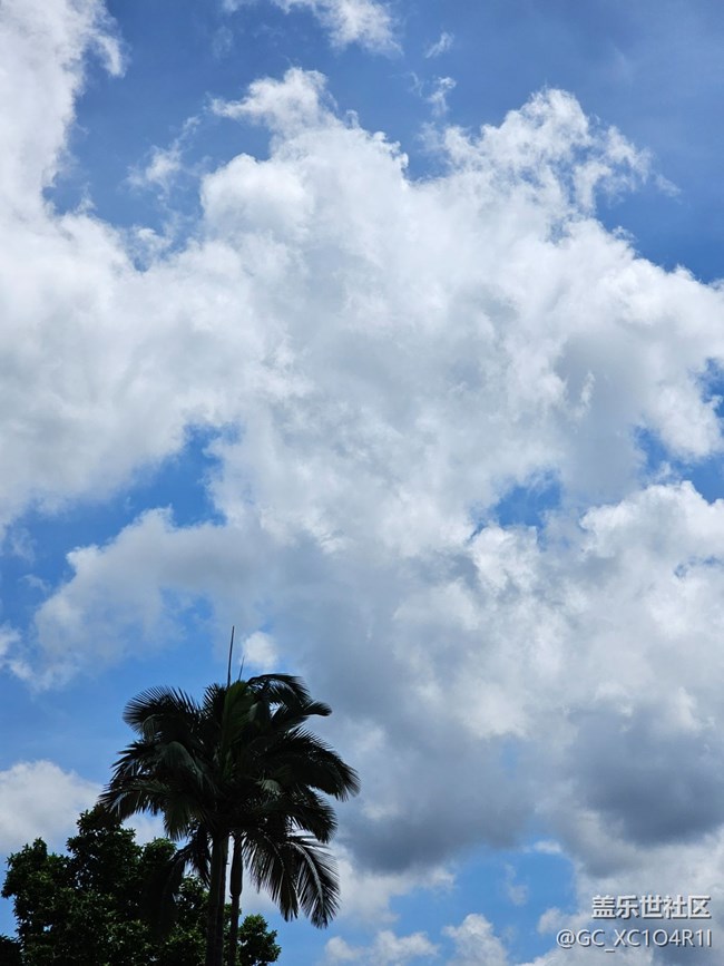 【秋季天空】早秋天空