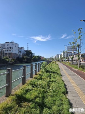 【透過鏡頭感受世界】早晨散步