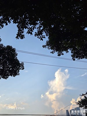 【透過鏡頭感受世界】美好生活