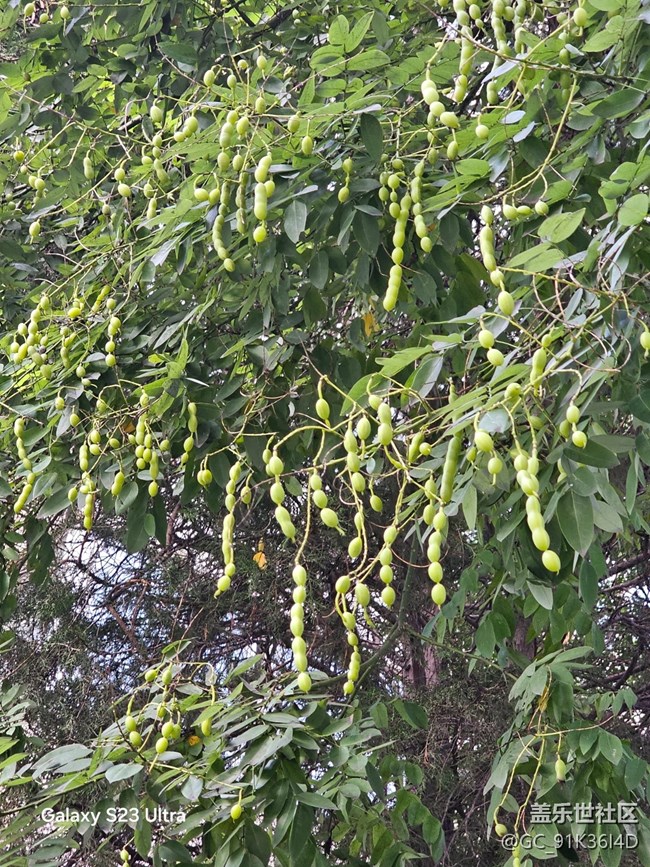 【立秋相簿】秋日風景