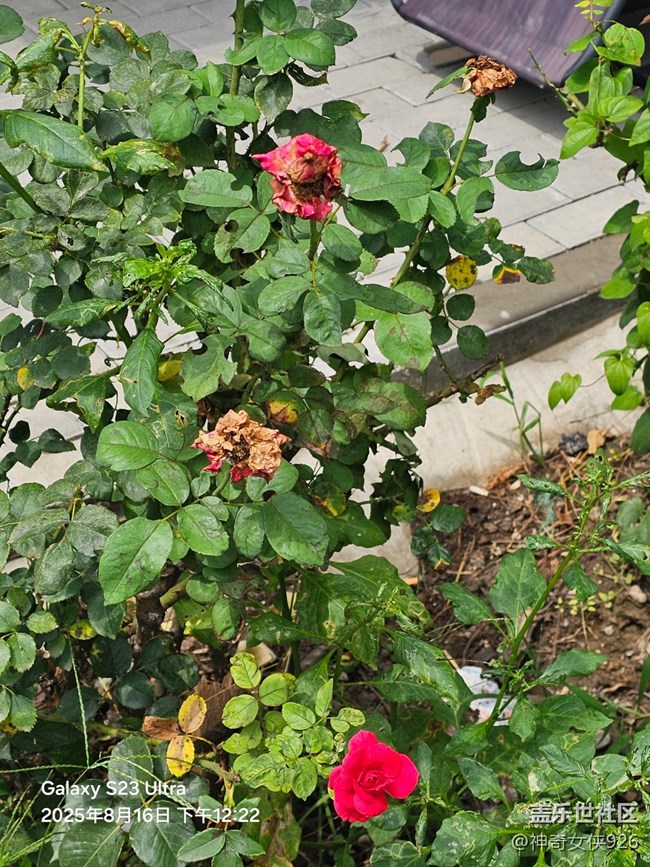 【立秋相簿】秋意到