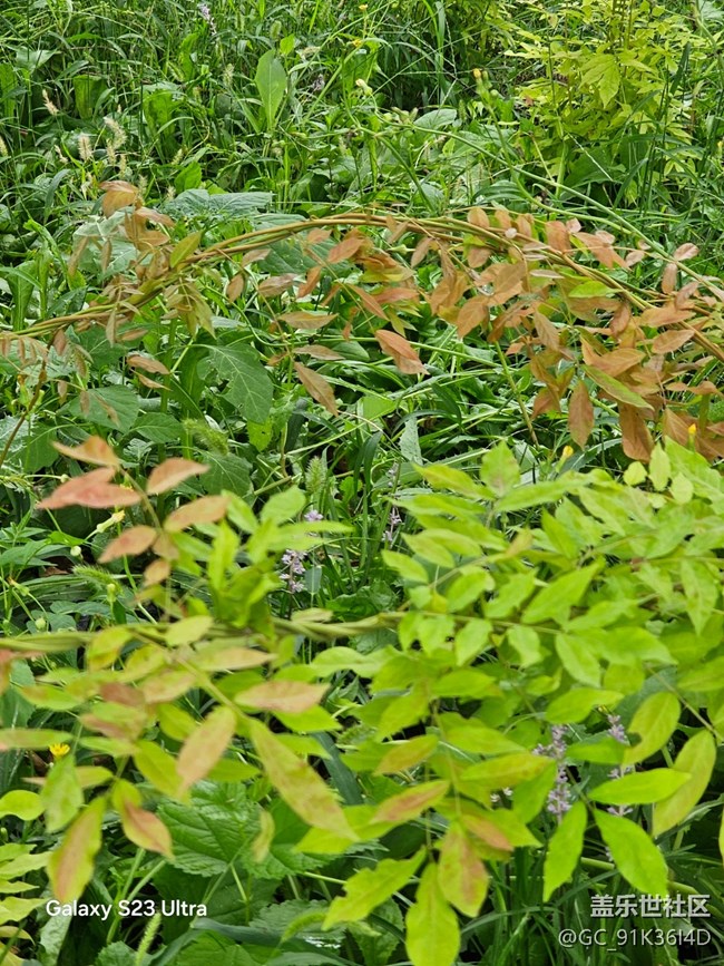 【立秋相簿】秋日風景