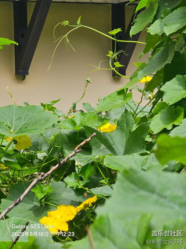 【立秋相簿】秋意到