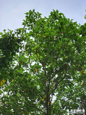 【透過鏡頭感受世界】+周末登山