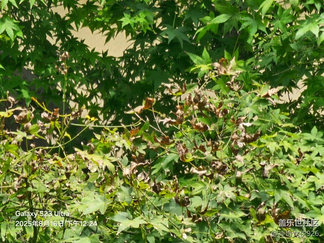 【立秋相簿】秋意到