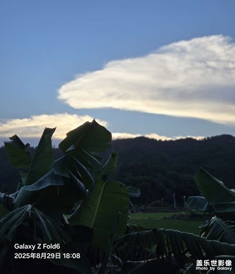 【透過(guò)鏡頭感受世界】夕陽(yáng)美