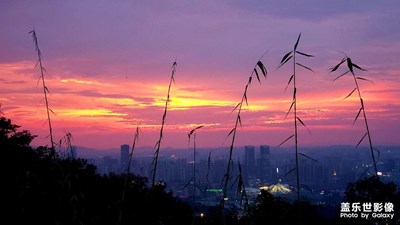 夕陽無限好只是近黃昏