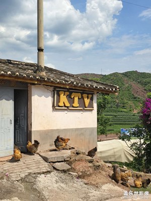 【透過鏡頭感受世界】秋