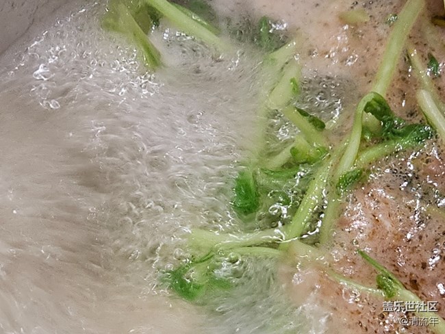 【火鍋食光】火鍋搭配