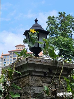 【別樣精彩】美好時(shí)光