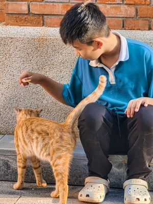 已開獎(jiǎng)【蓋樂世影像周賽第412期】——?jiǎng)e樣精彩