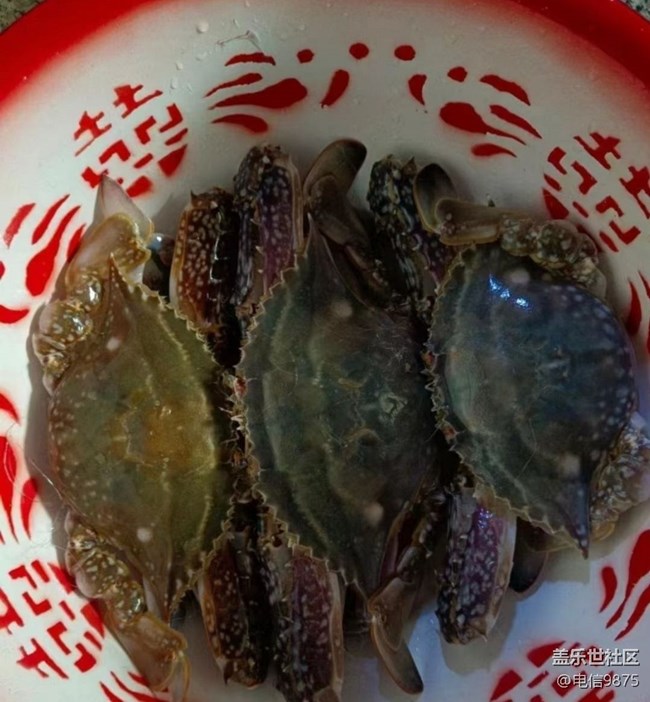 【巧膳七夕】梭子蟹