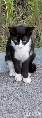 【透過鏡頭感受世界】攝入大自然