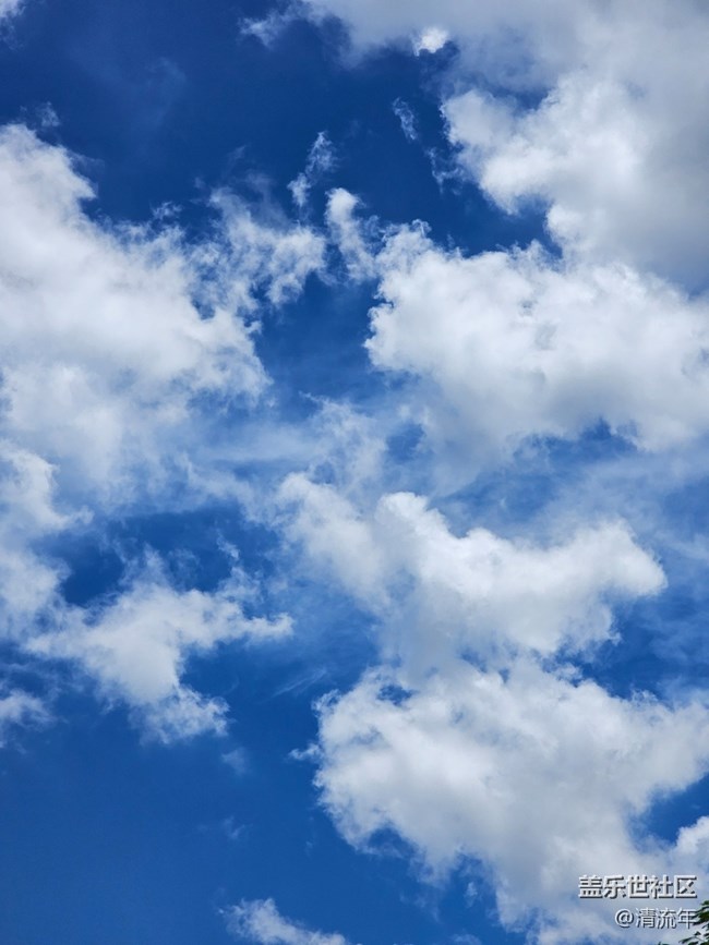 【秋季天空】藍(lán)天正當(dāng)時