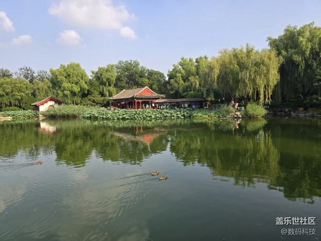 【立秋相簿】秋游大觀園