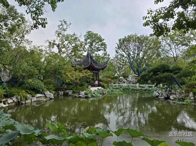 【立秋相簿】秋雨后的荷花